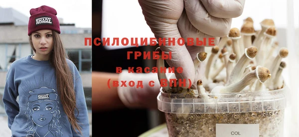 скорость Абаза