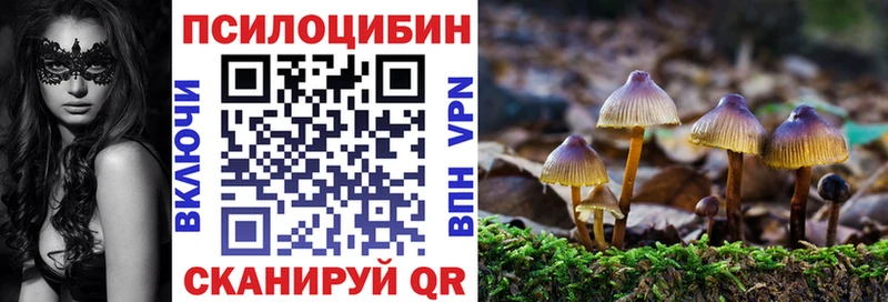 закладка  нарко площадка официальный сайт  Псилоцибиновые грибы прущие грибы  Сысерть 